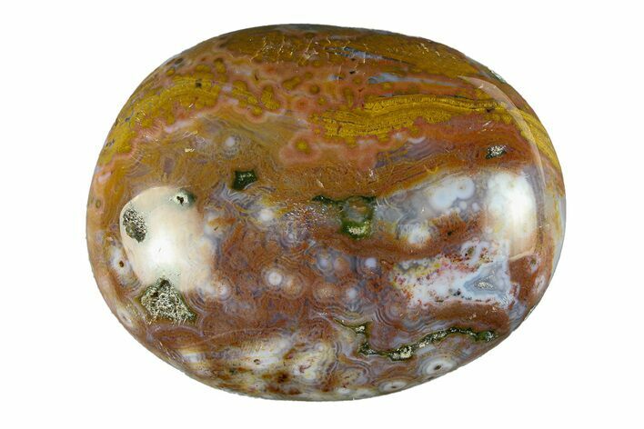 Polished Ocean Jasper Stone - New Deposit #293672